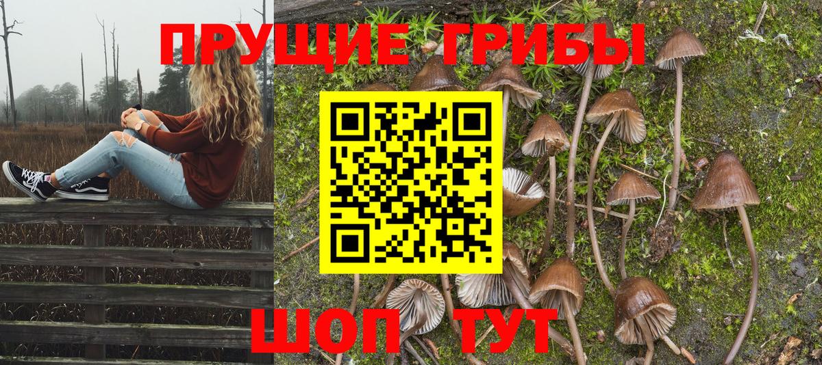 Галлюциногенные грибы MAGIC MUSHROOMS  Псилоцибиновые грибы мухоморы  Барнаул  Вход с VPN 