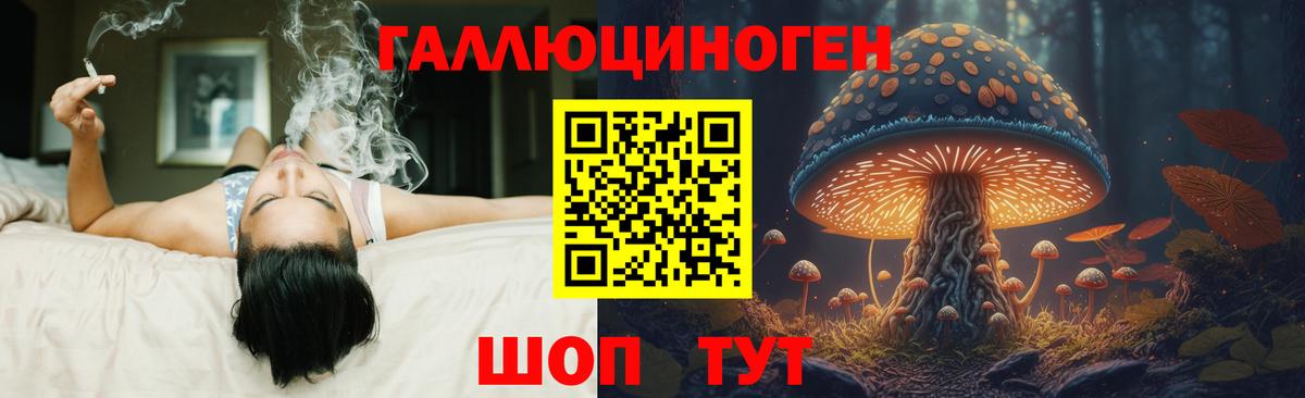 Псилоцибиновые грибы GOLDEN TEACHER Барнаул